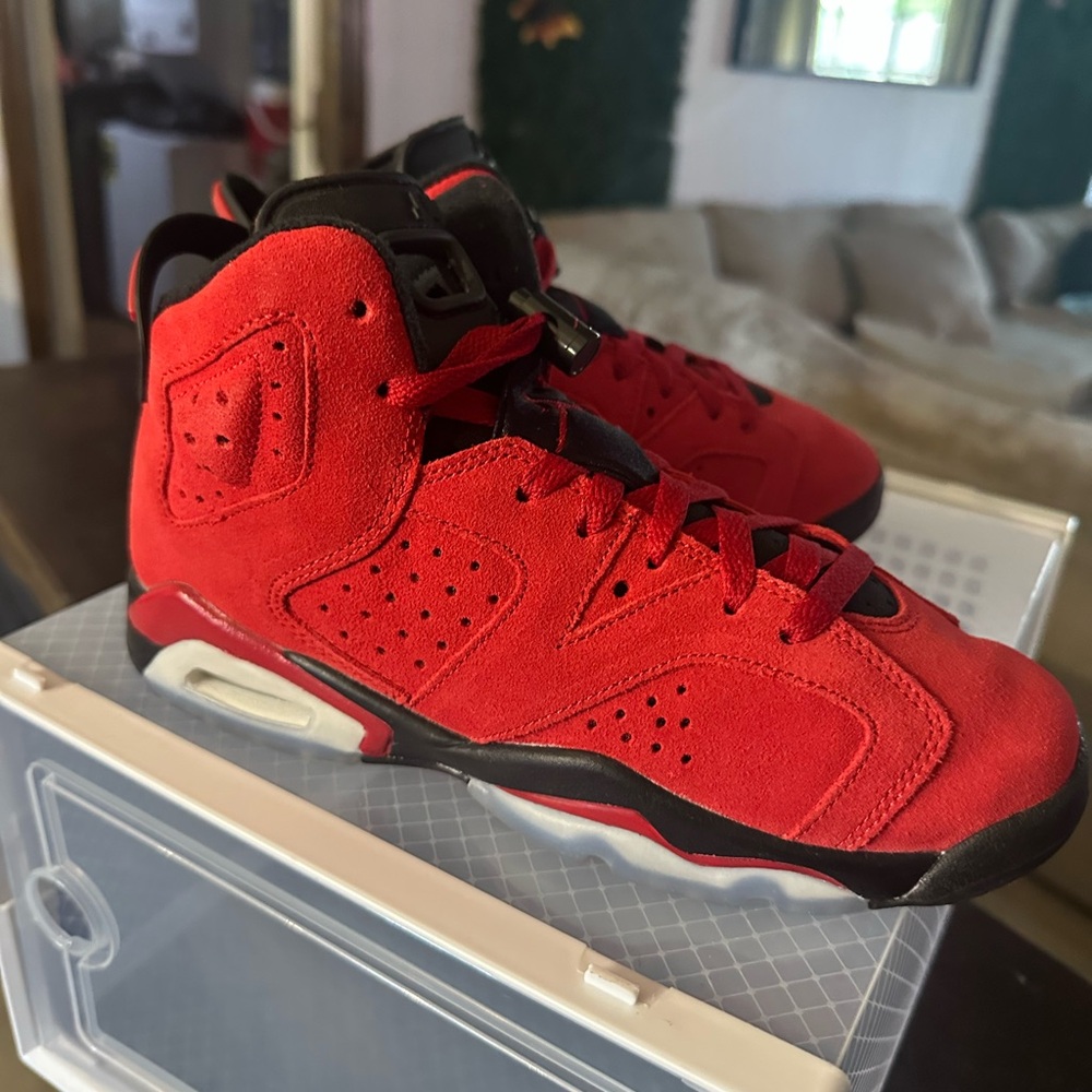 Retro Jordan Toro 6s